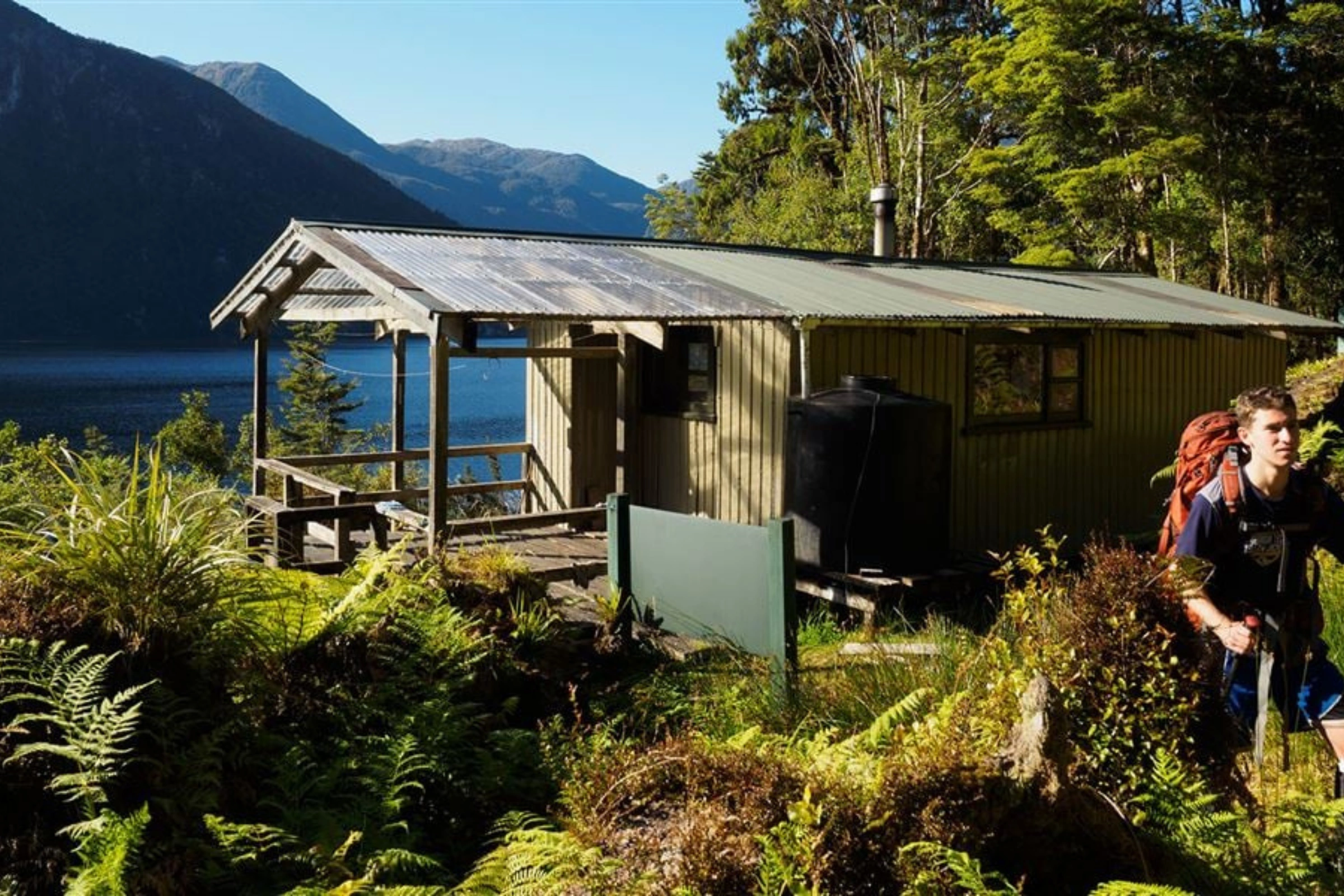 Supper_Cove,_Fiordland_National_Park_(g)[1].webp